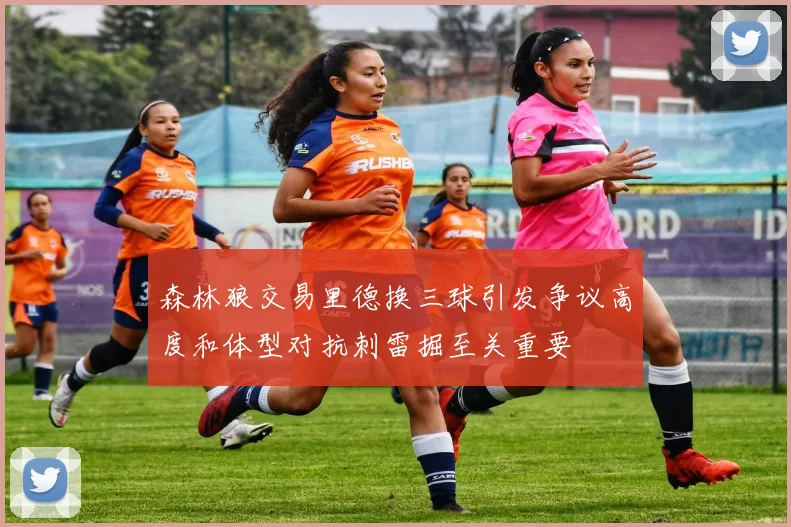 森林狼交易里德换三球引发争议高度和体型对抗刺雷掘至关重要