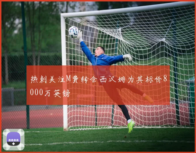 热刺关注M费转会西汉姆为其标价8000万英镑